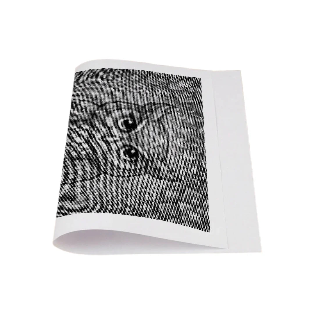 Eule auf Ast-Punktmalerei