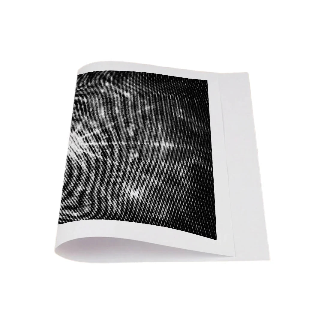 Dierenriem Dot schilderij