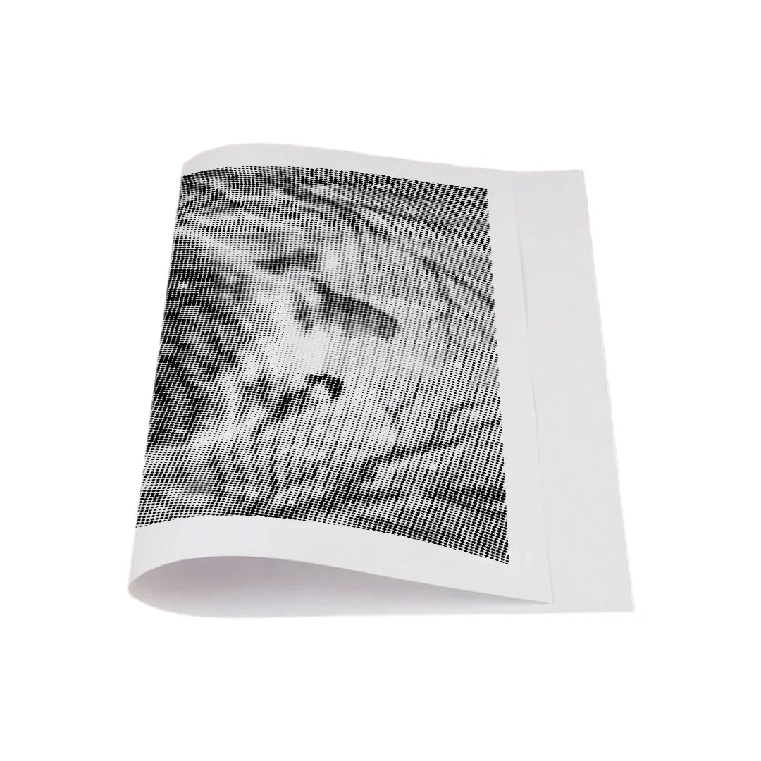 Kätzchen und Vögel im Schnee-Punkt-Gemälde