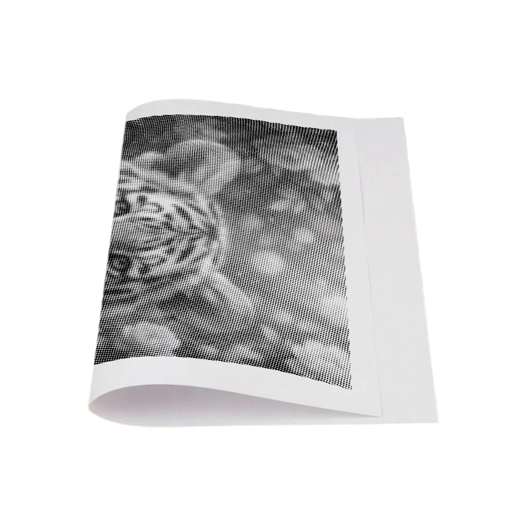 Tijger met bloemen Dot Painting