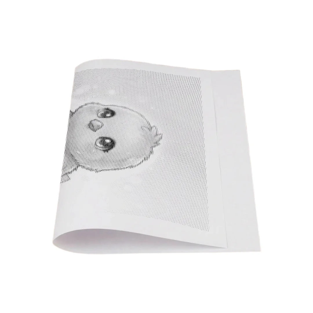 Eendje Dot schilderij