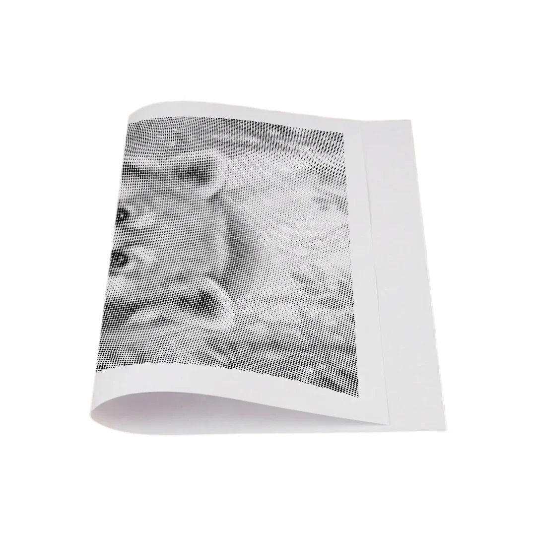 Roter Panda mit Blumen-Punktmalerei