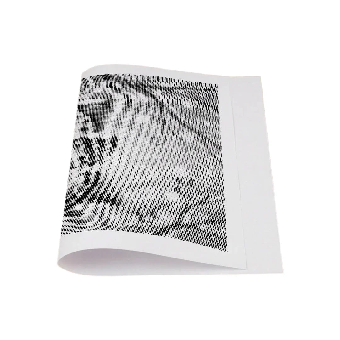 Vogels met hoeden Dot Painting