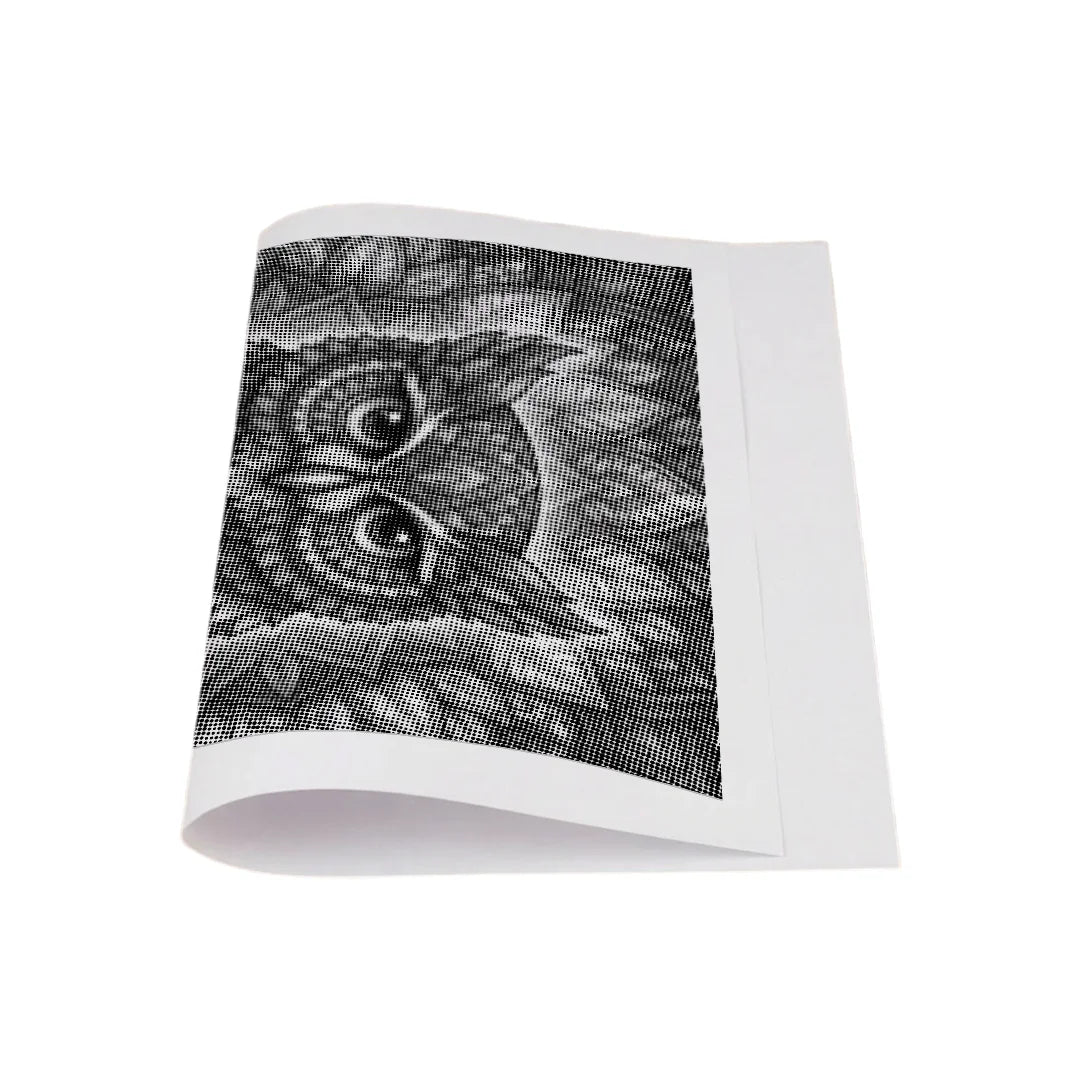 Uil Mandala 2 Dot schilderij