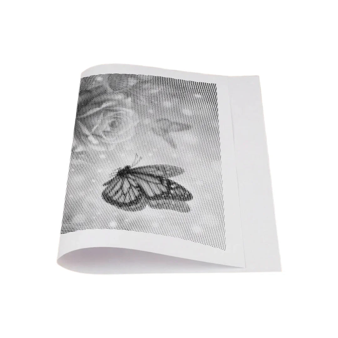 Vlinder met rozen Dot Painting