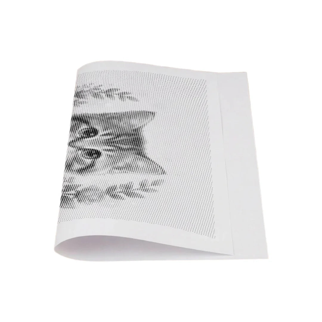 Katze mit Blumen 2-Punkt-Malerei