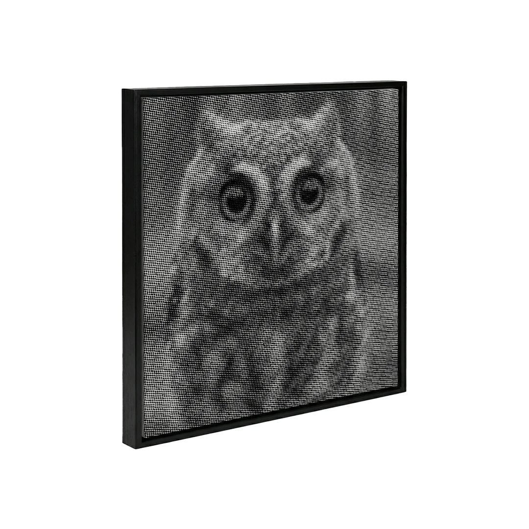 Kleine uil met grote ogen Dot Painting