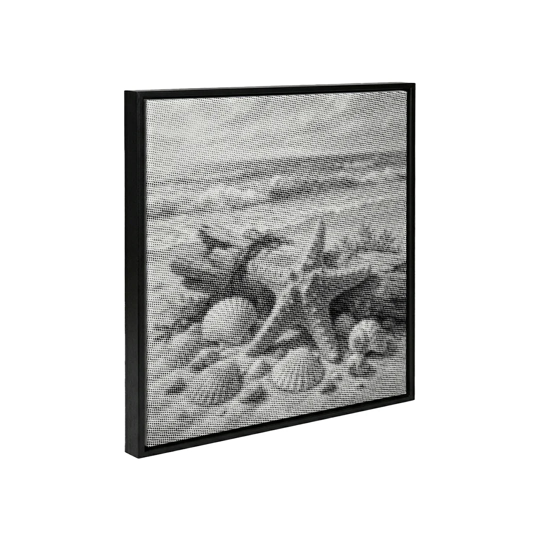 Muscheln am Strand Punktmalerei