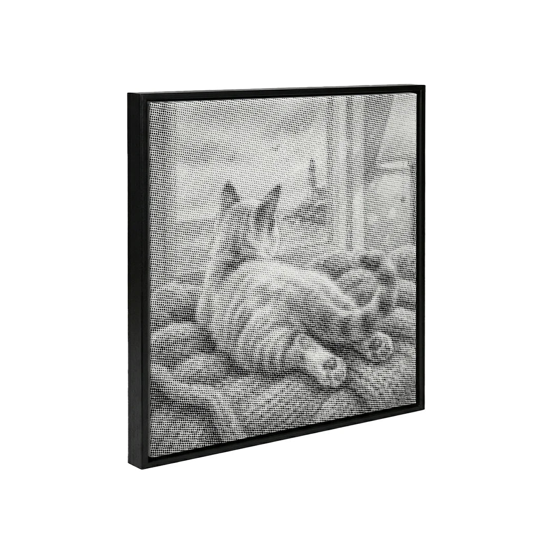 Kat kijkt naar Birds Dot Painting
