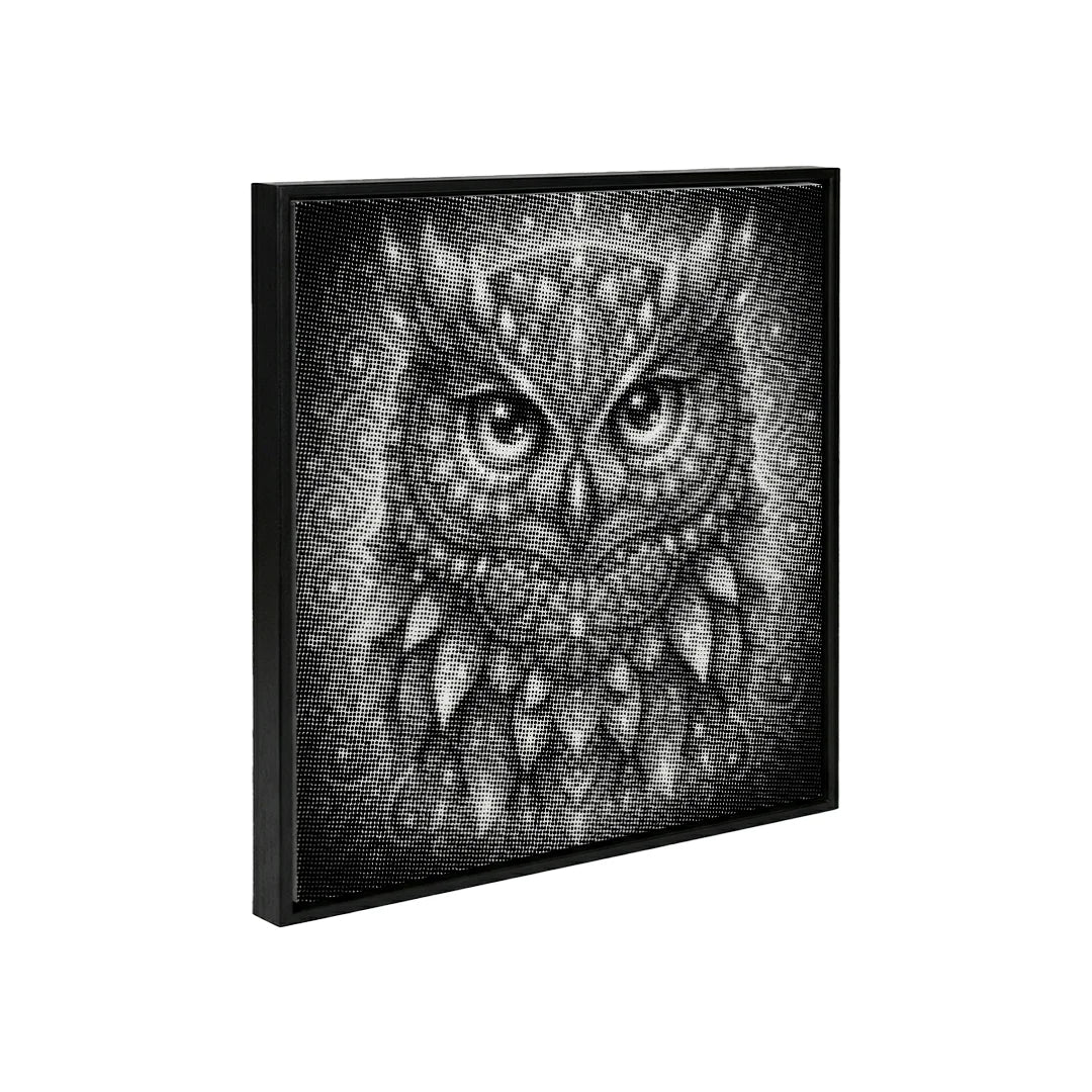 Eulen-Mandala-Punktmalerei