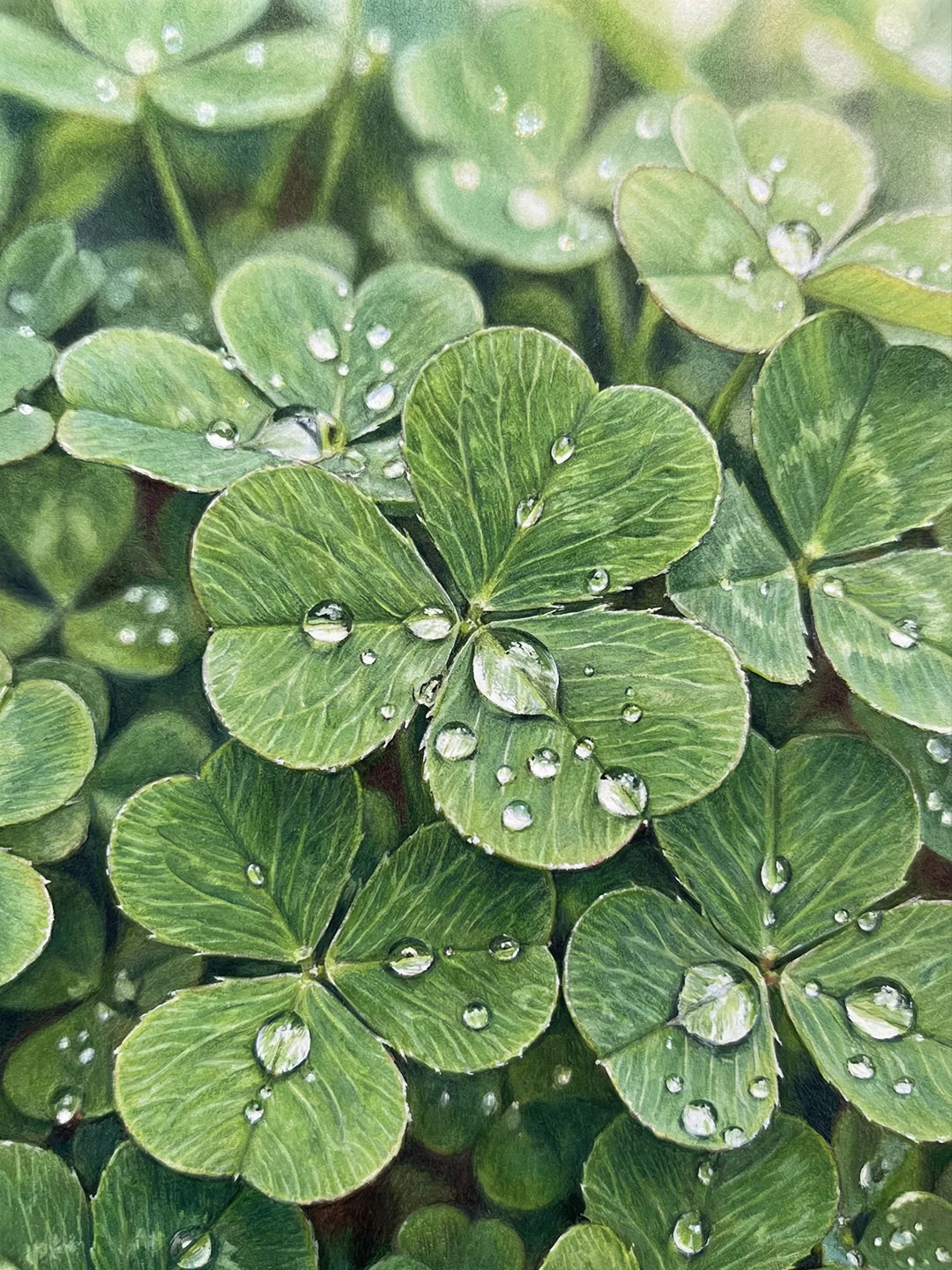 Kleeblatt mit Wassertropfen-Punktmalerei