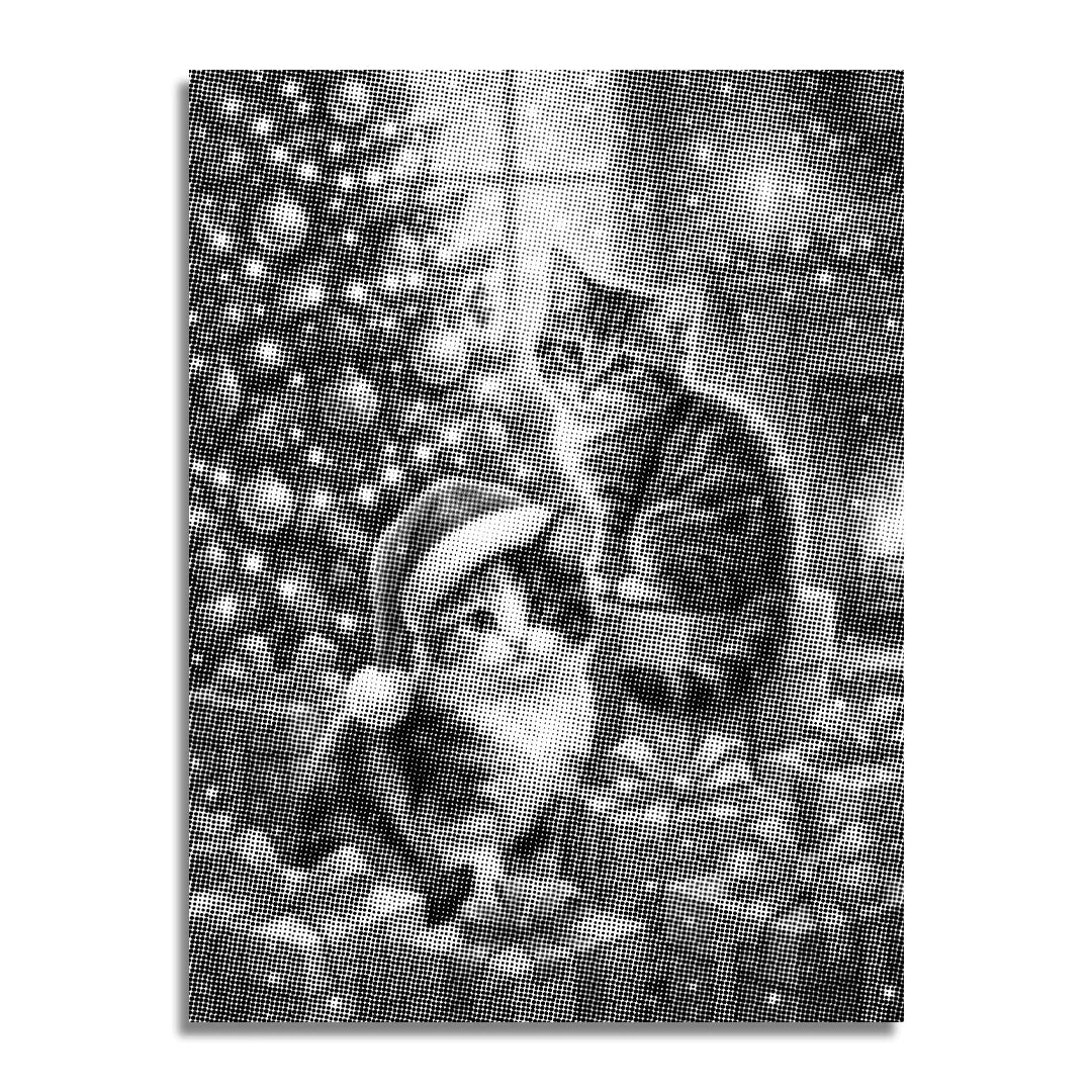 2 Weihnachtskatzen Punktmalerei