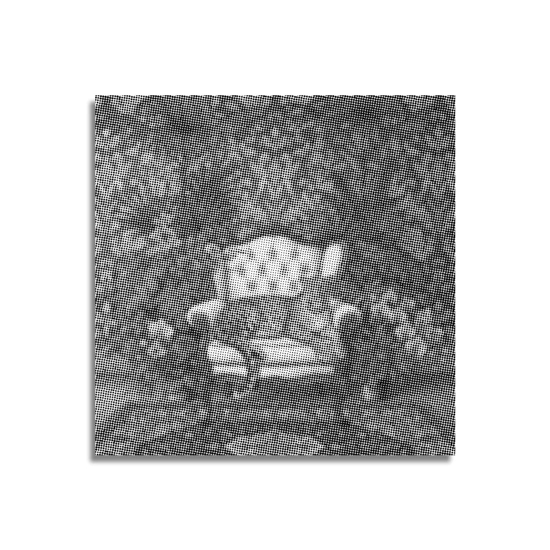 Koning Leopard Dot schilderij