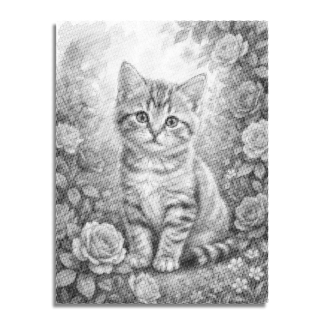 Katze mit Blumen-Punktmalerei
