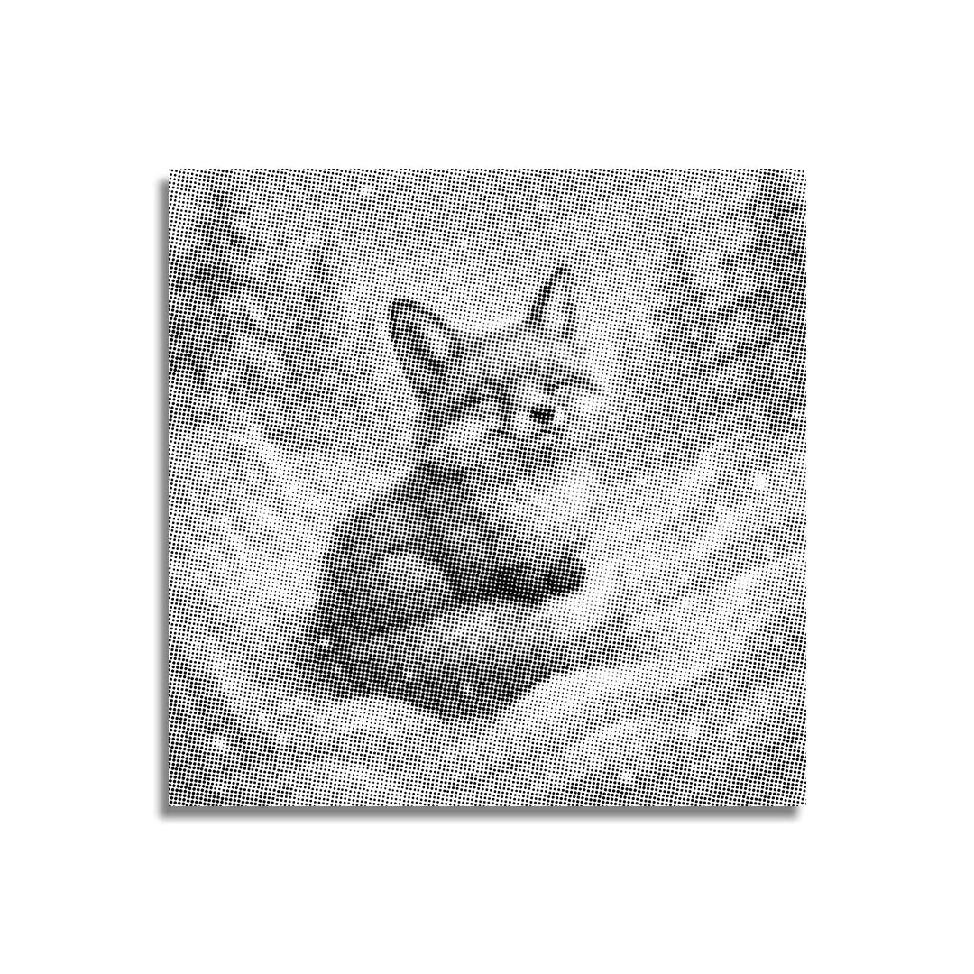 Fuchs spielt im Schnee-Punkt-Gemälde