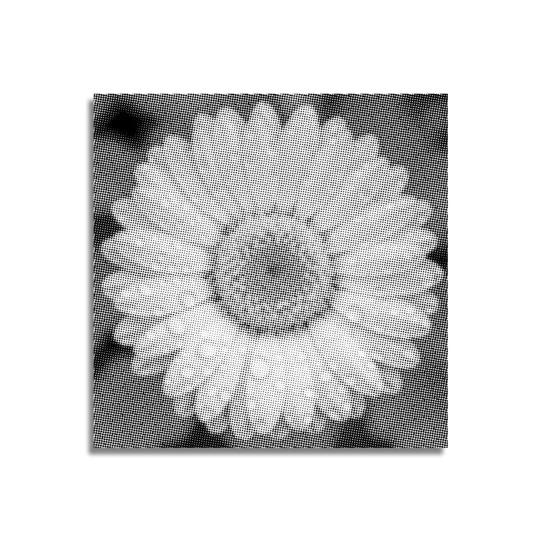 Bloem met waterdruppels Dot Painting