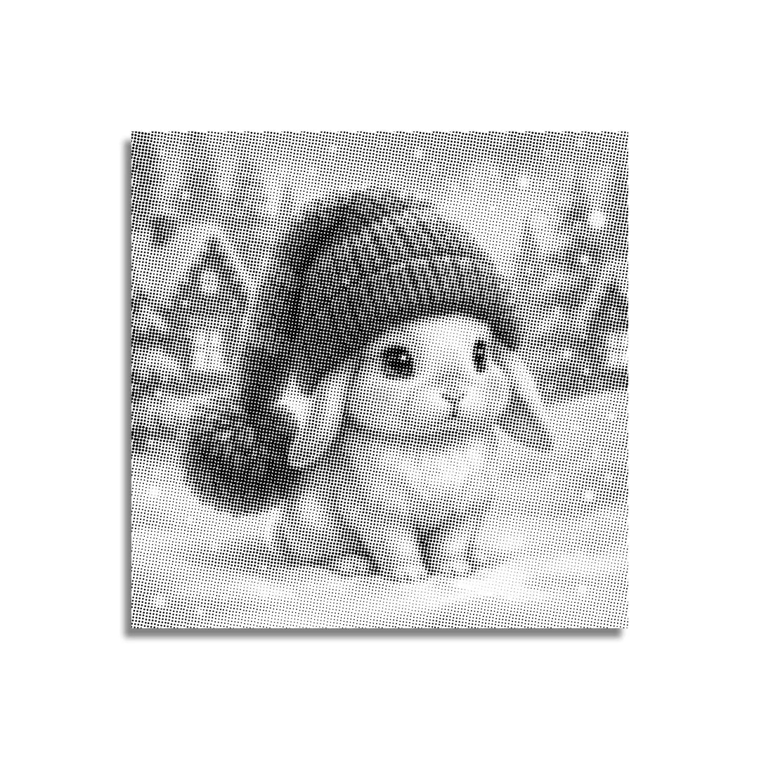 Winter Bunny Dot schilderij