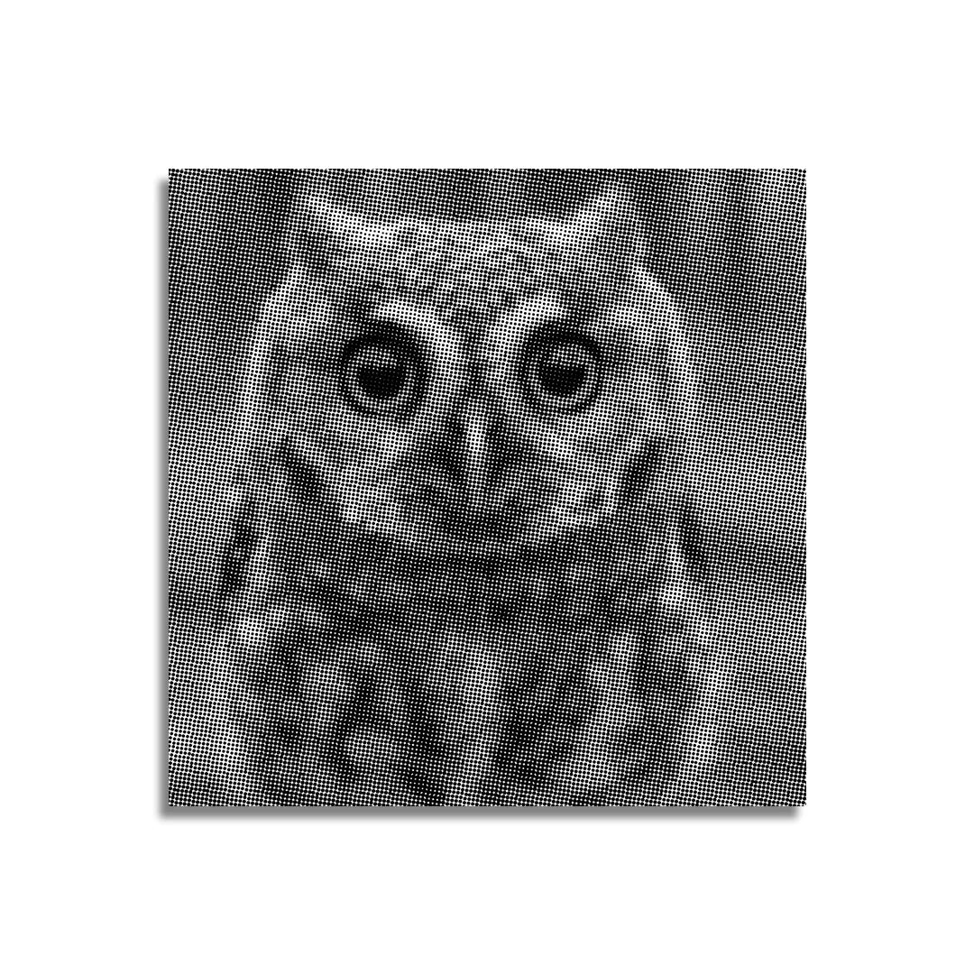 Kleine uil met grote ogen Dot Painting