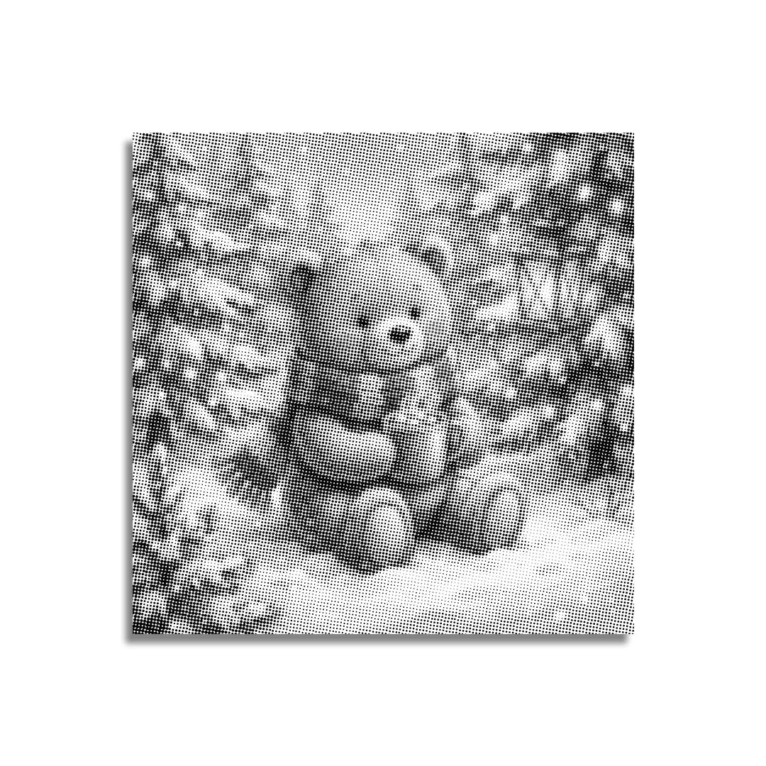 Winterbeer Dot schilderij