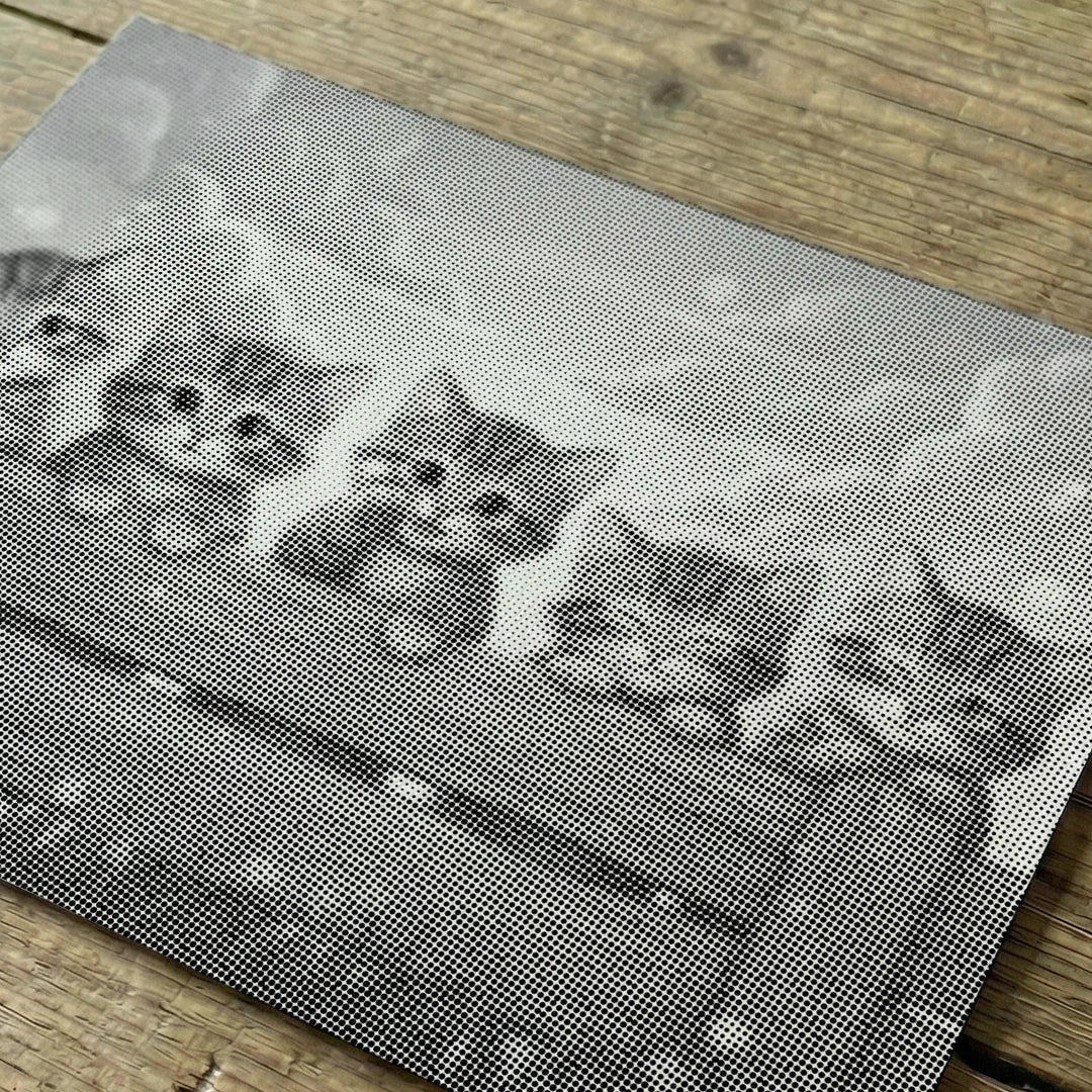 Kätzchen auf dem Zaun-Punktmalerei