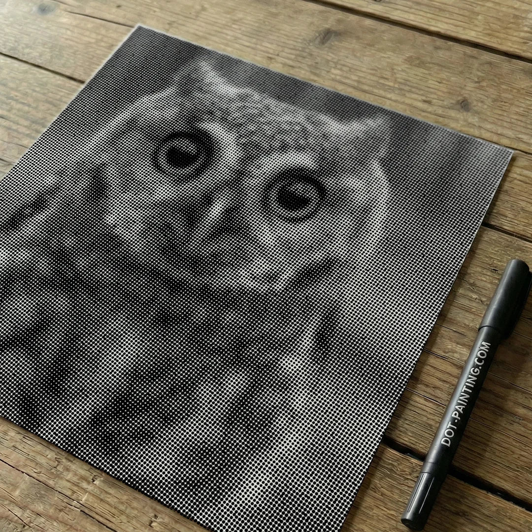 Kleine uil met grote ogen Dot Painting