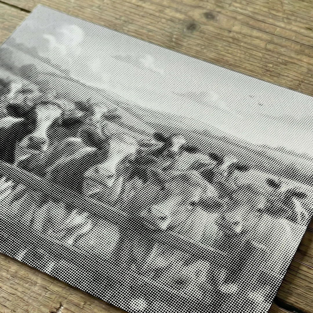 Glückliche Bauernhofkühe Punktmalerei