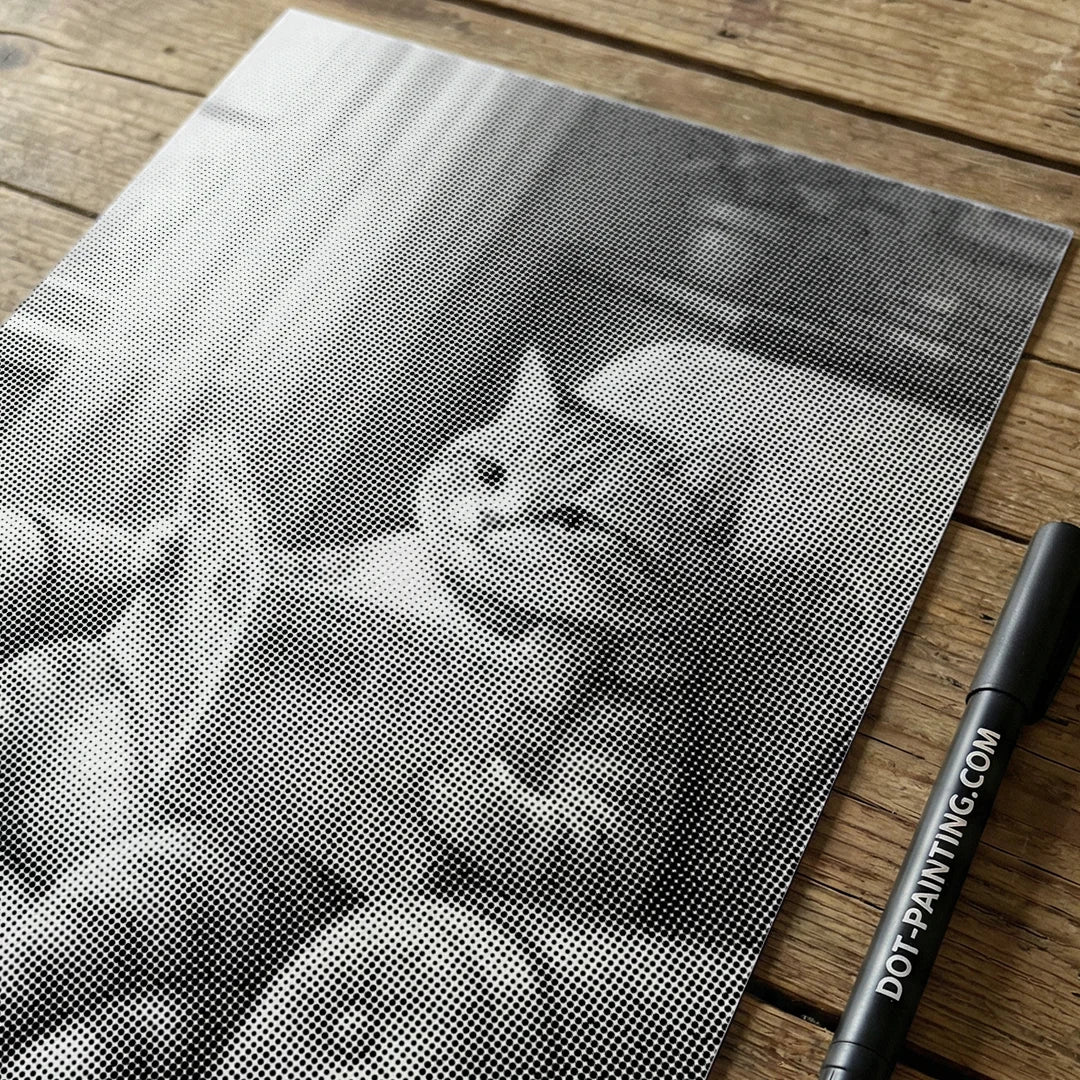 Kat op een bank Dot schilderij