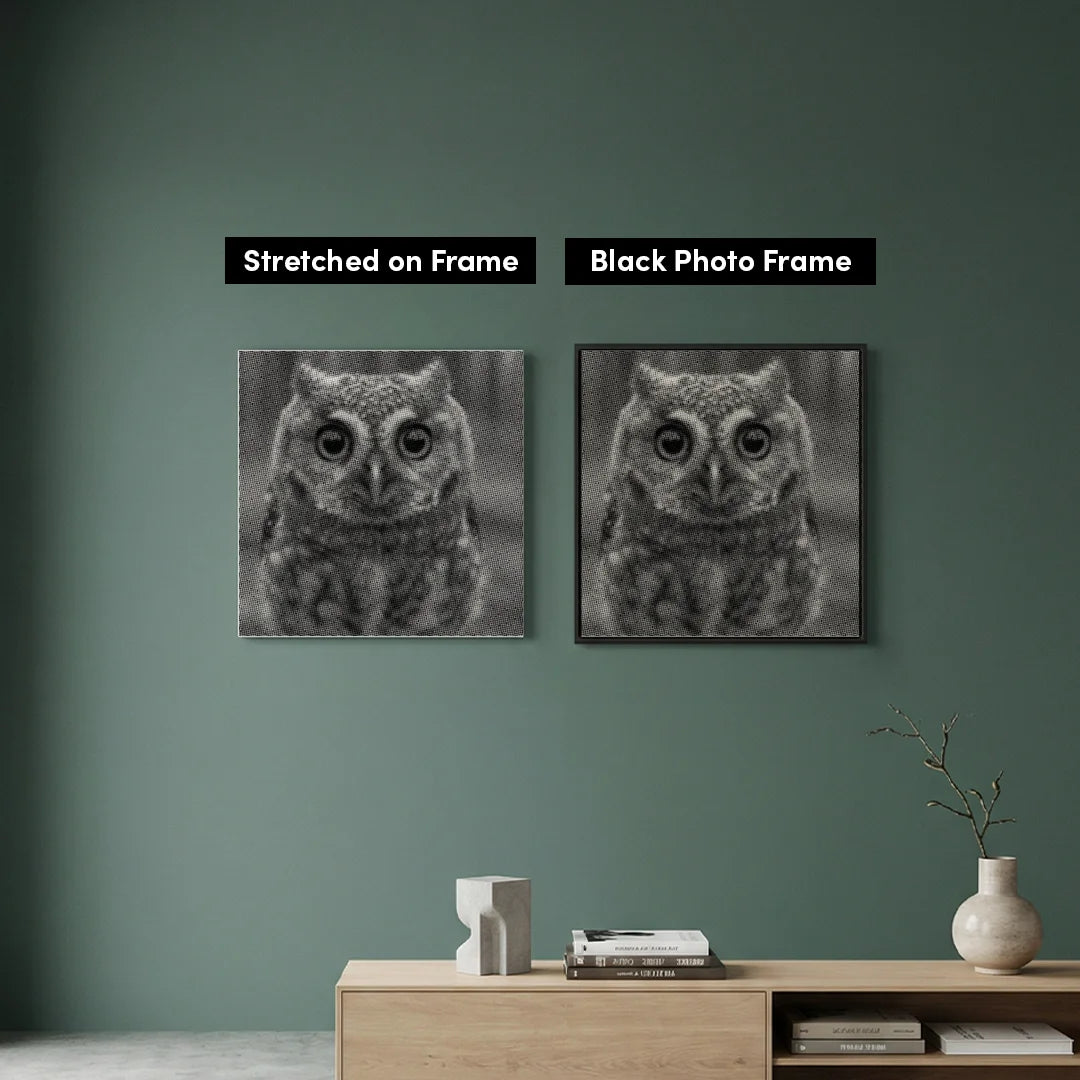 Kleine uil met grote ogen Dot Painting