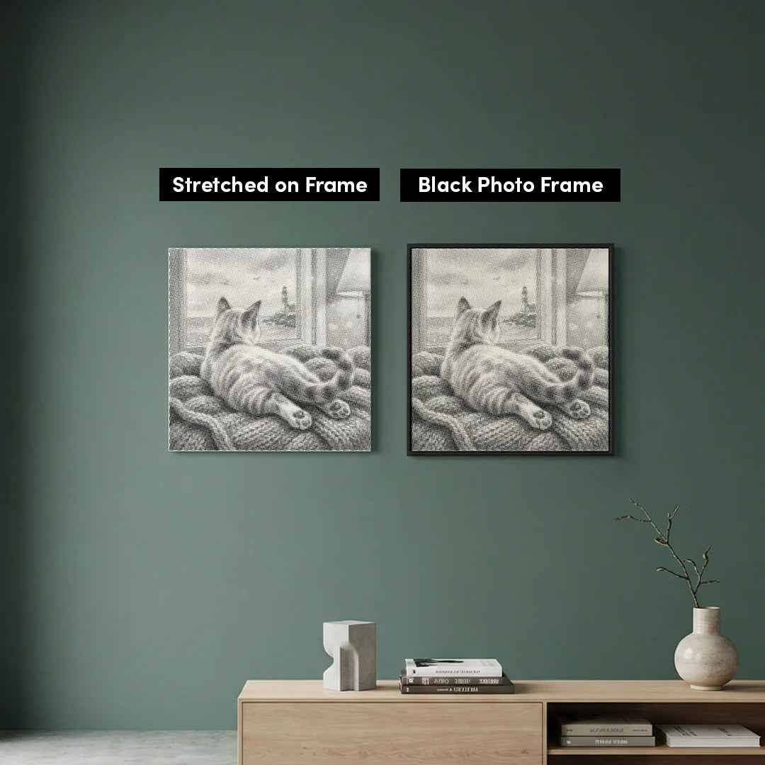 Kat kijkt naar Birds Dot Painting