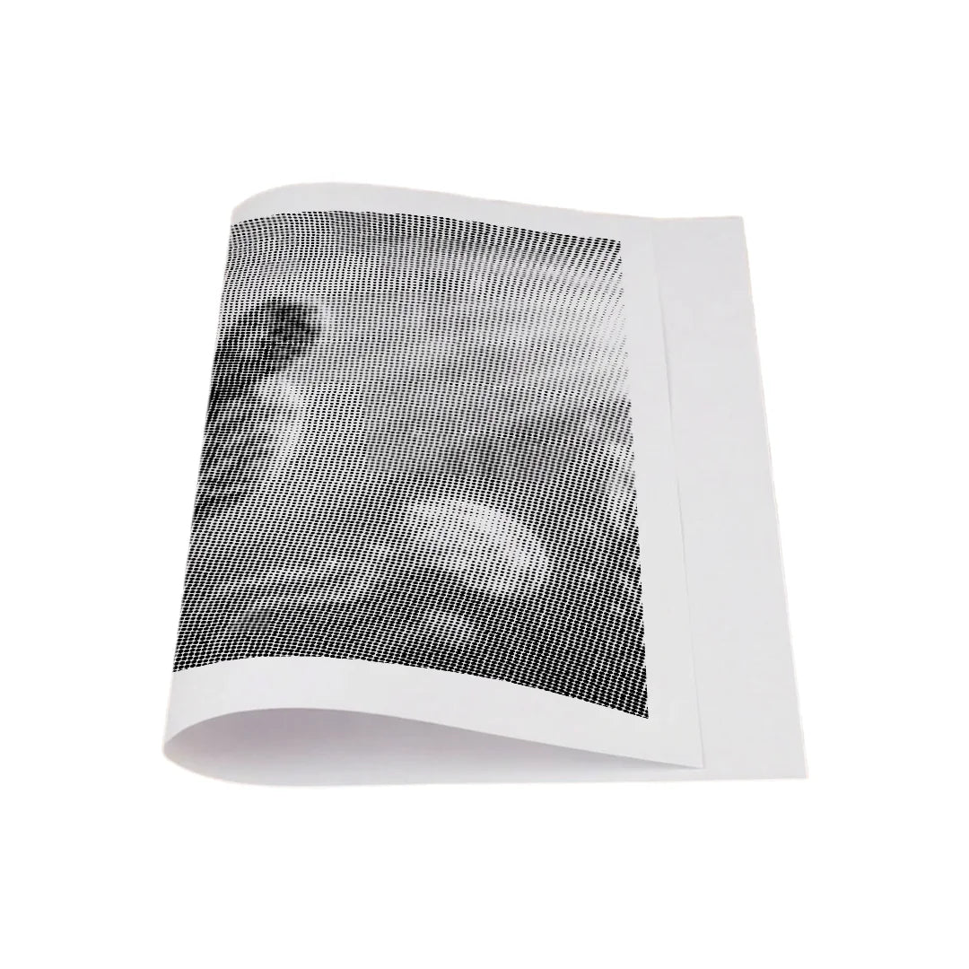 Mariene leven Dot schilderij