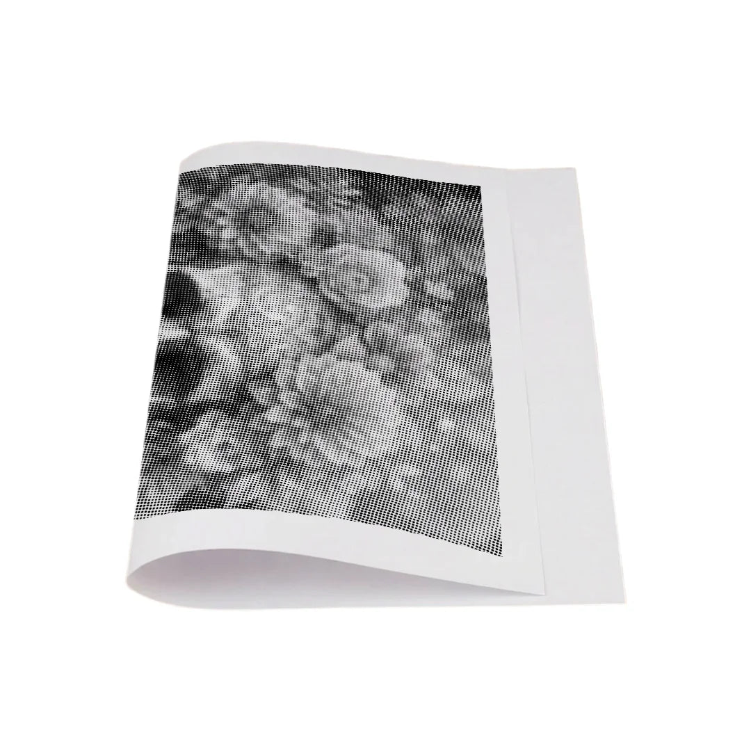 Vrouwen met een Wolf dot painting