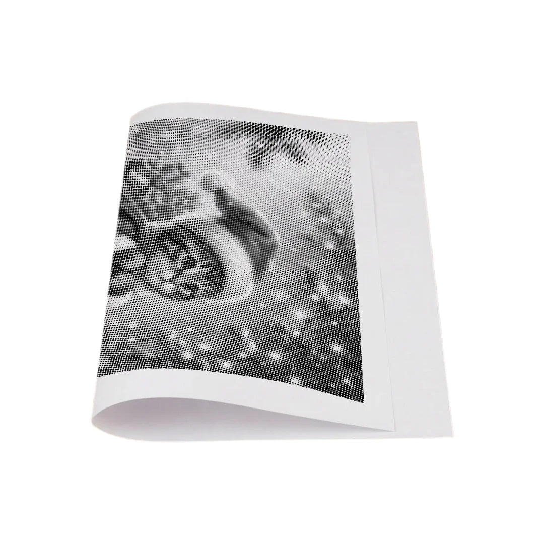 Vrouwen met een Wolf dot painting