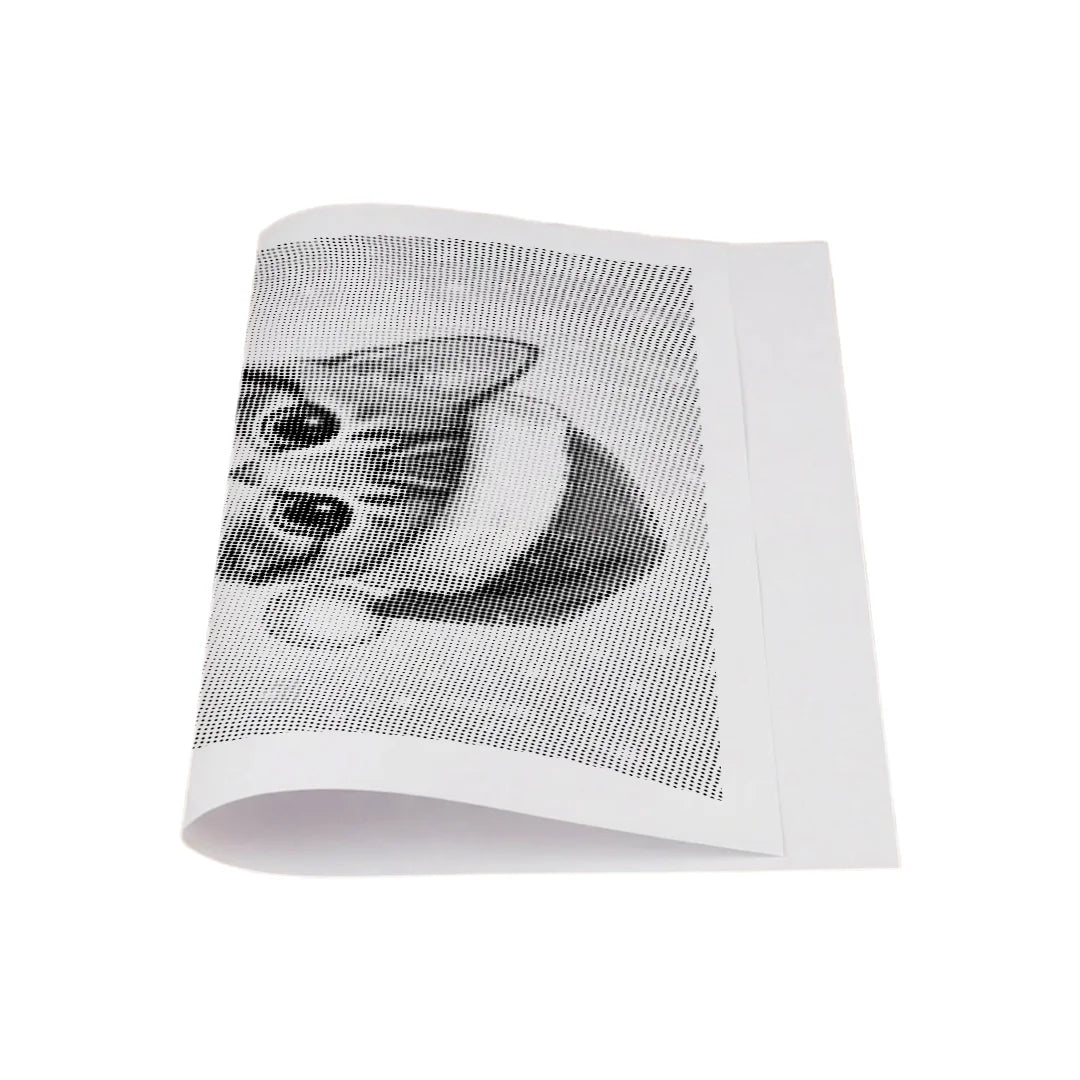 Vrouwen met een Wolf dot painting