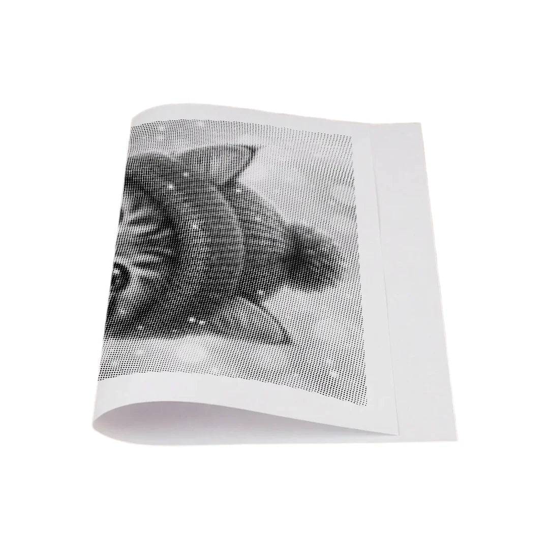 Vrouwen met een Wolf dot painting