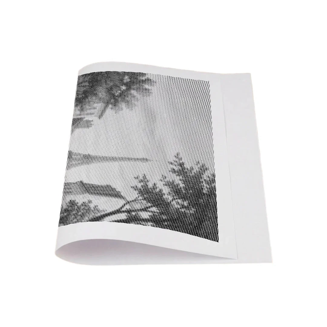 Alter Käfer in Paris Dot Painting