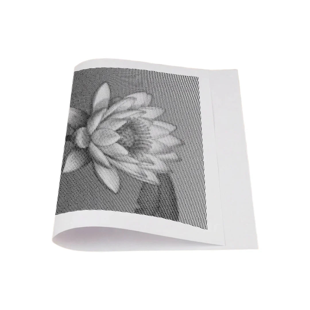 Water Lily on the Water Dot Painting