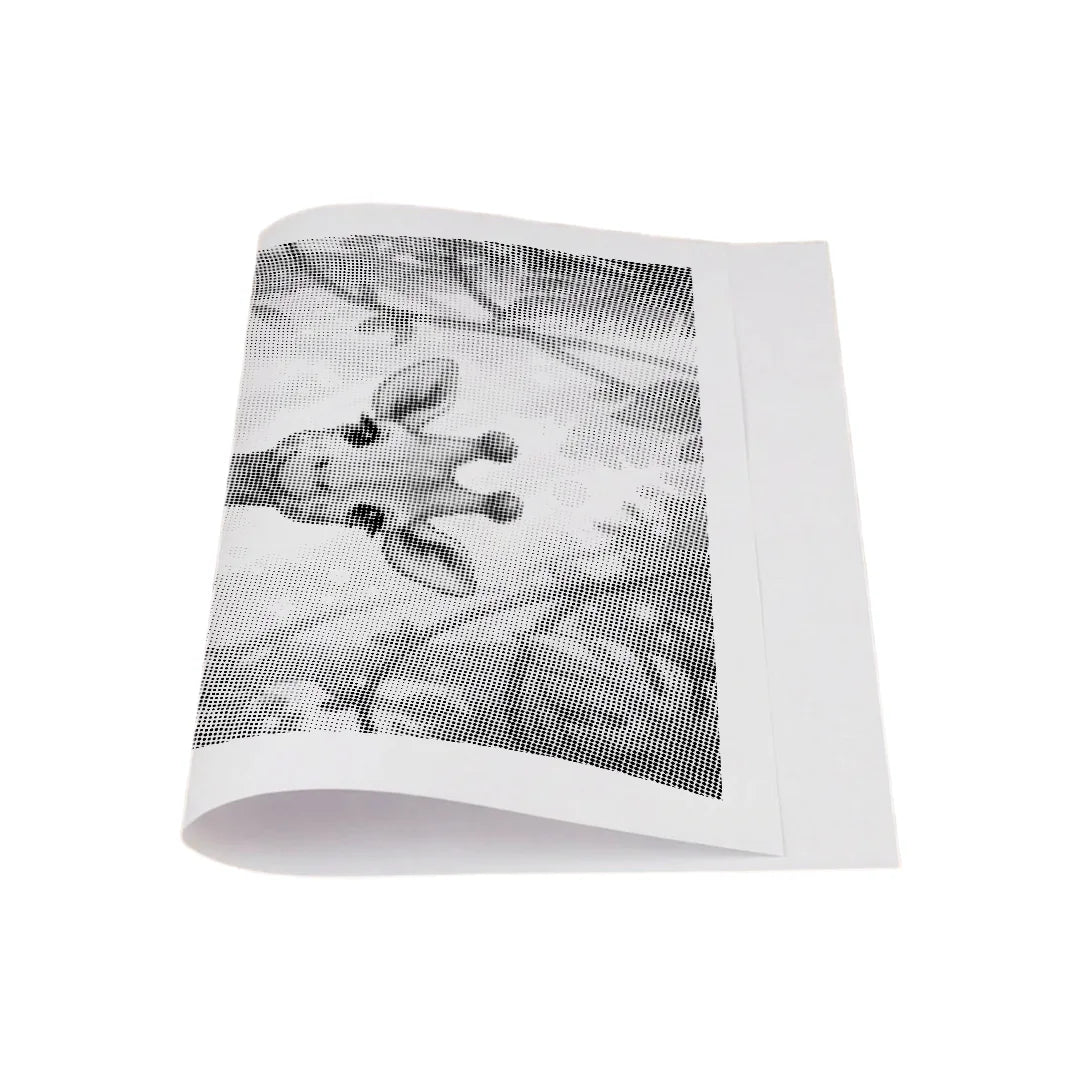 Vrouwen met een Wolf dot painting