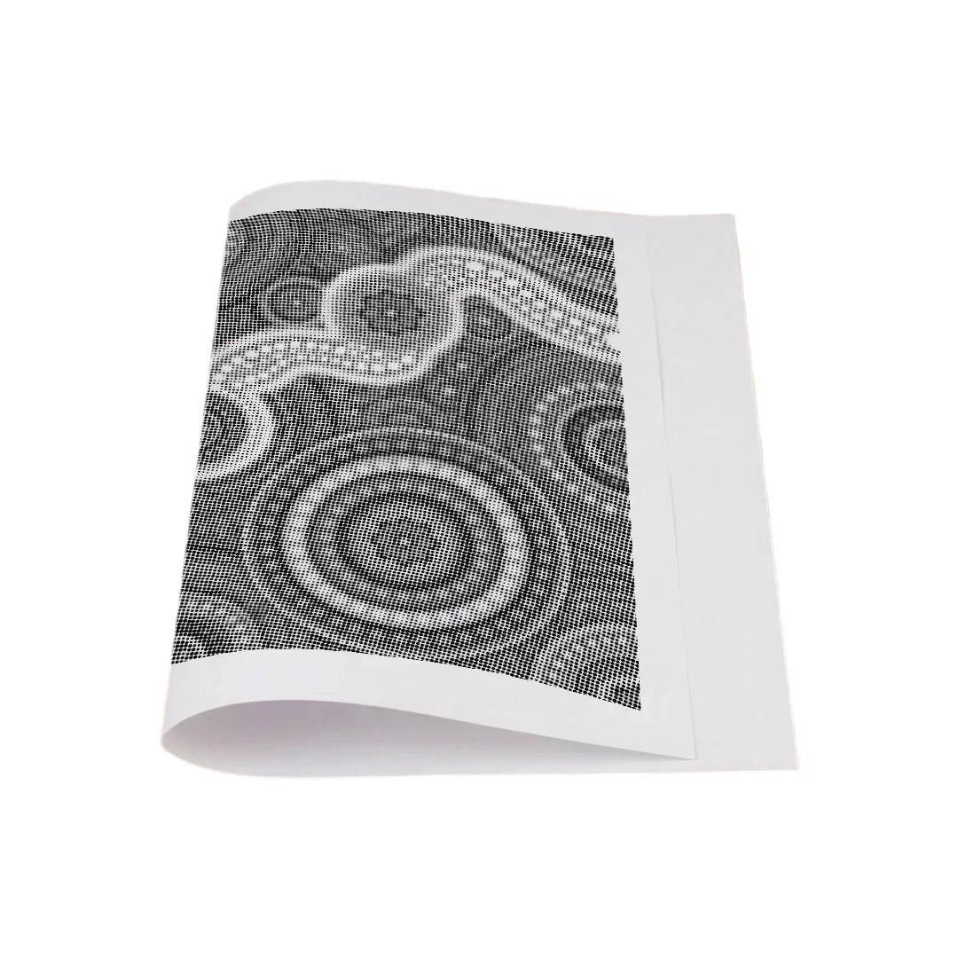 Vrouwen met een Wolf dot painting