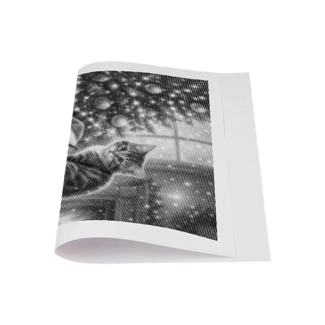 Vrouwen met een Wolf dot painting