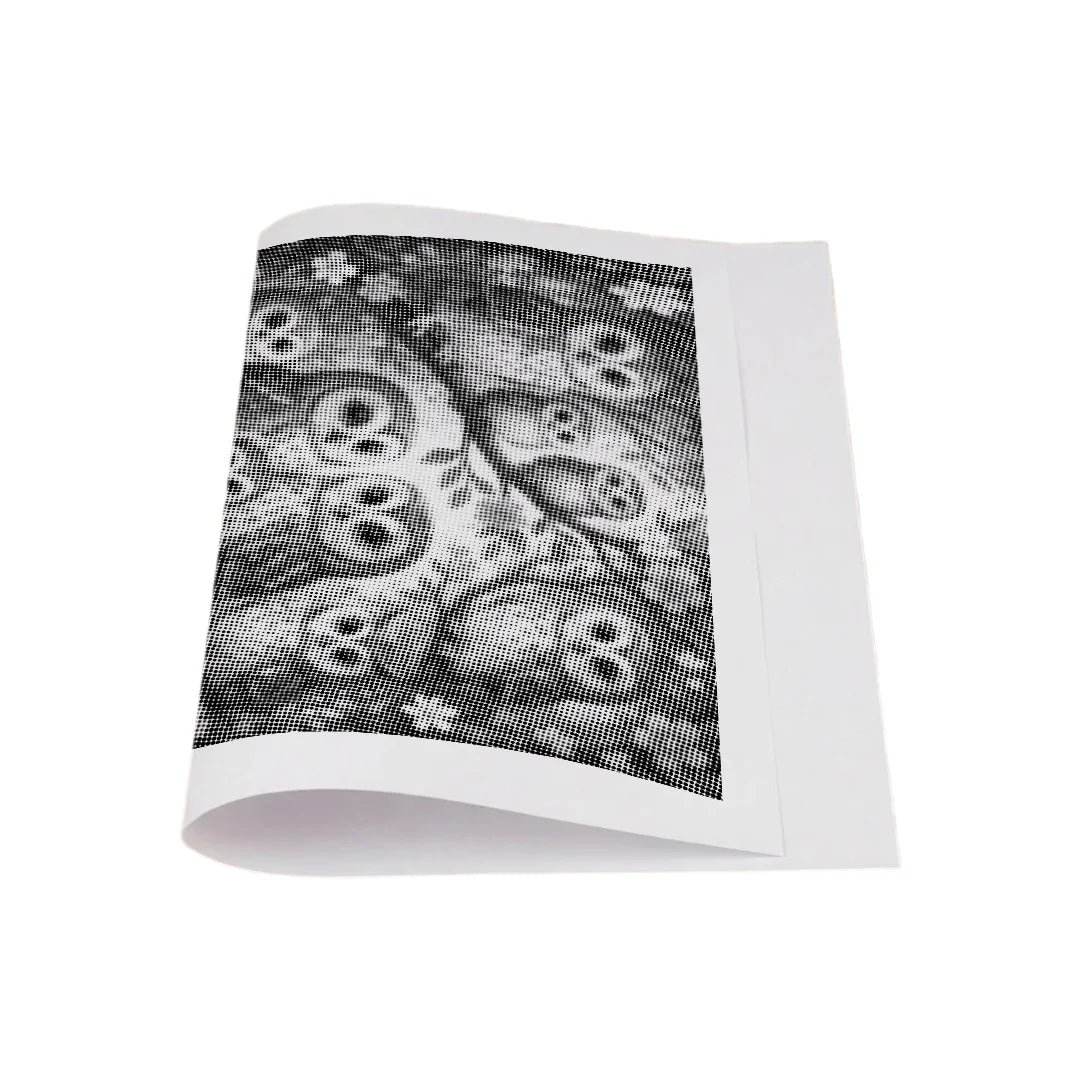 Vrouwen met een Wolf dot painting