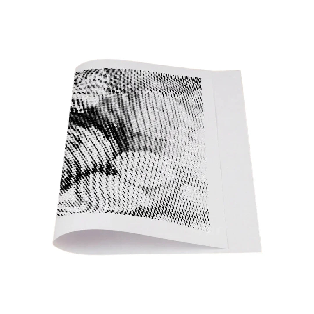 Vrouwen met een Wolf dot painting