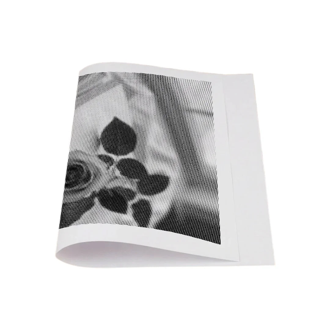 Vrouwen met een Wolf dot painting