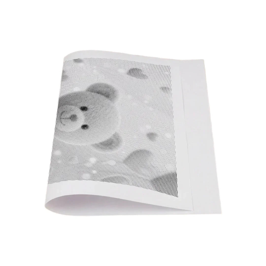 Teddybeer Dot Painting