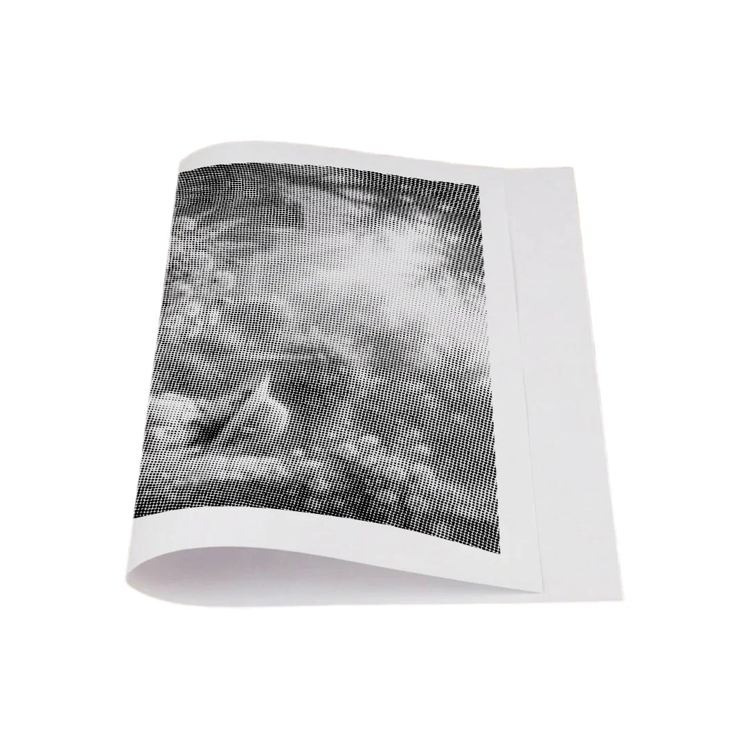 Vrouwen met een Wolf dot painting