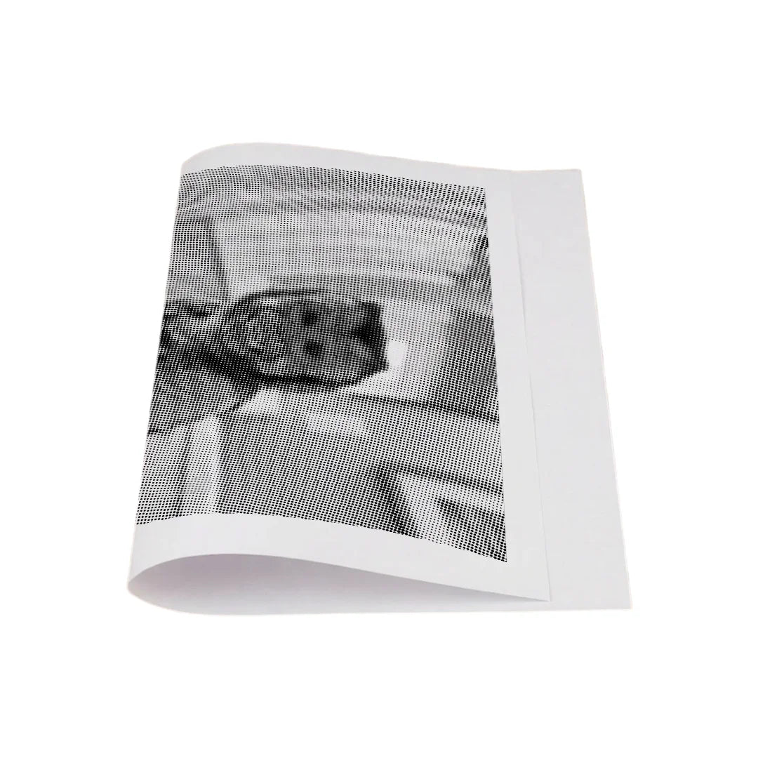 Monkey on A Toilet Dot Painting