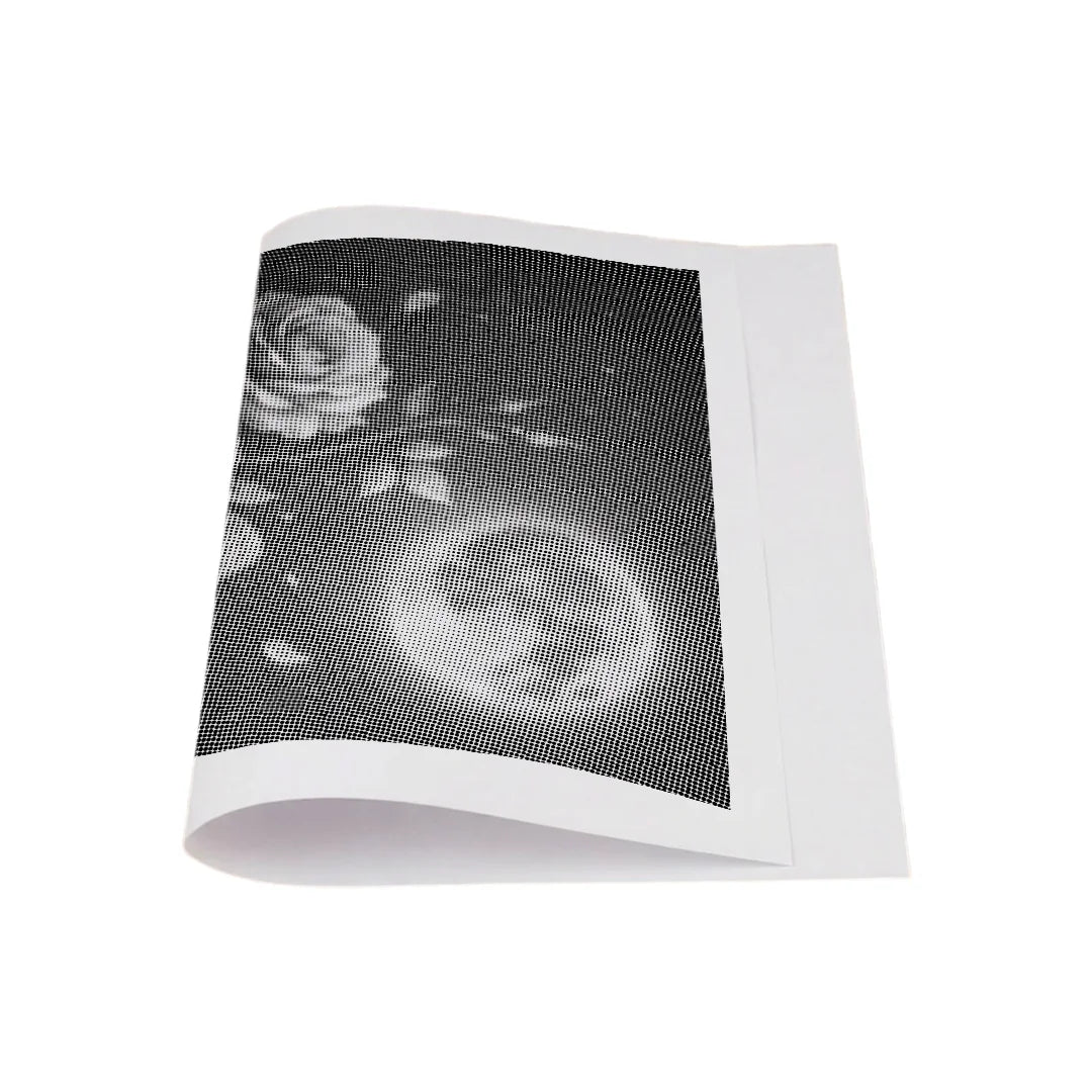 Vrouwen met een Wolf dot painting