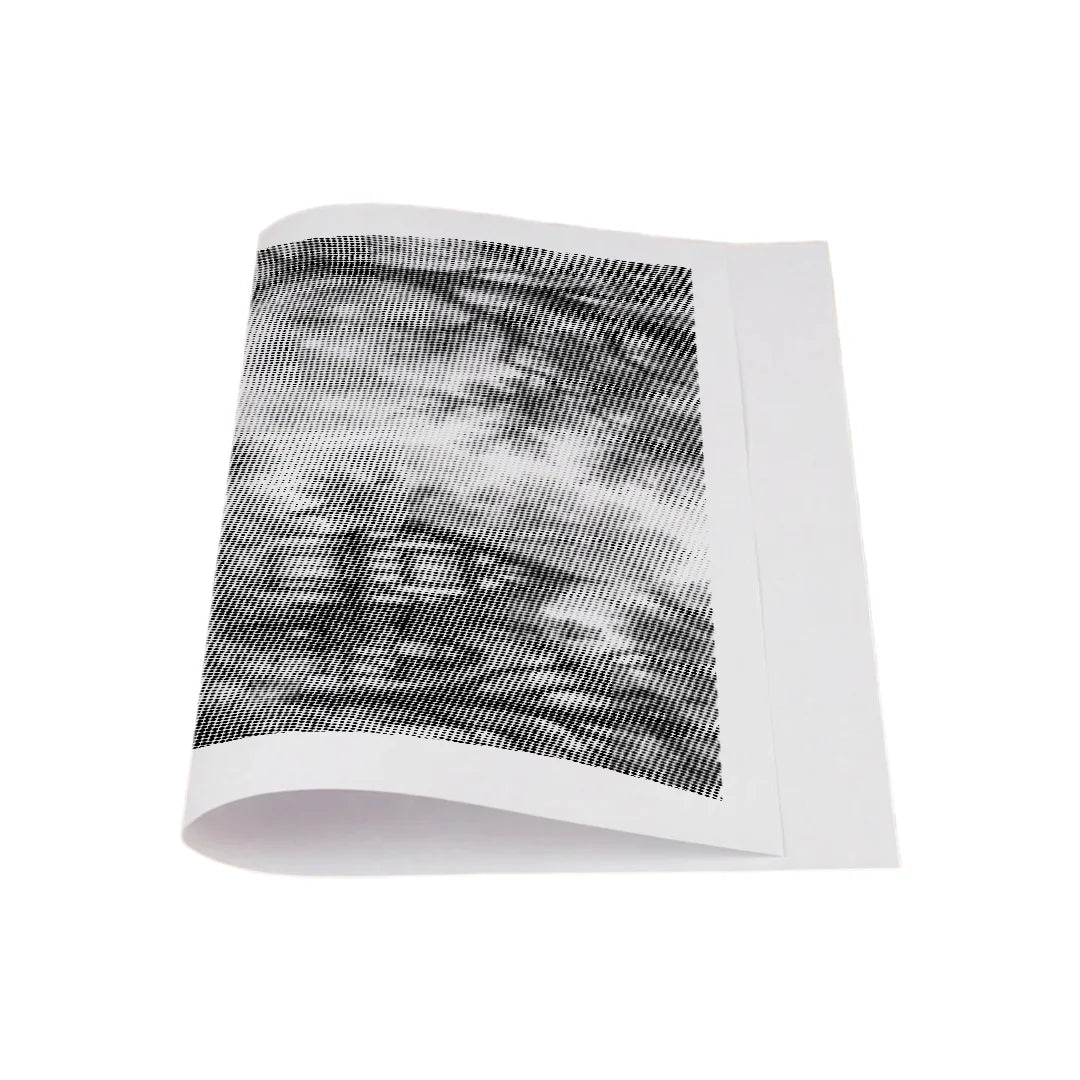 Schwanensee-Punktmalerei