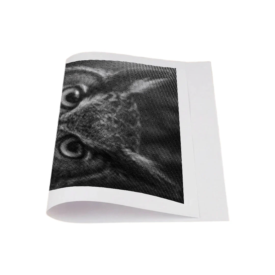 Vrouwen met een Wolf dot painting