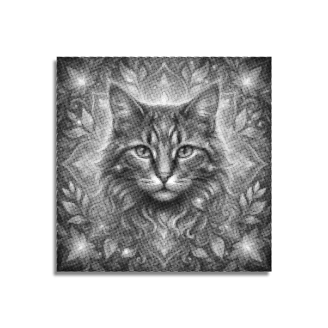 Vrouwen met een Wolf dot painting