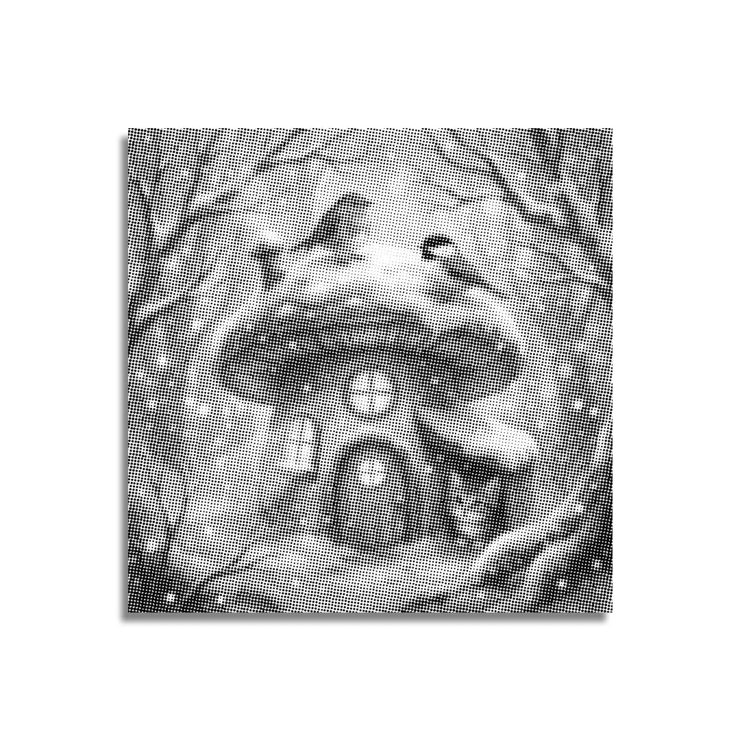 Vrouwen met een Wolf dot painting